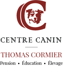 de la Forêt de Corthomel